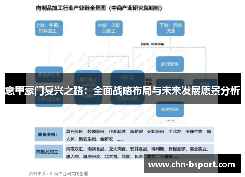 意甲豪门复兴之路：全面战略布局与未来发展愿景分析