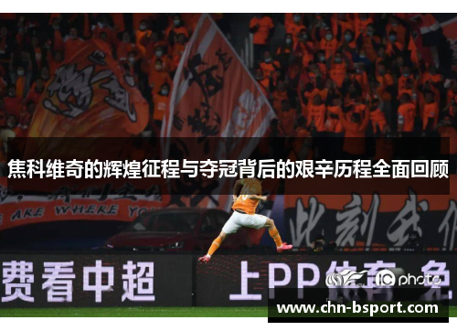 焦科维奇的辉煌征程与夺冠背后的艰辛历程全面回顾