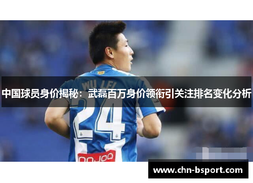 中国球员身价揭秘：武磊百万身价领衔引关注排名变化分析