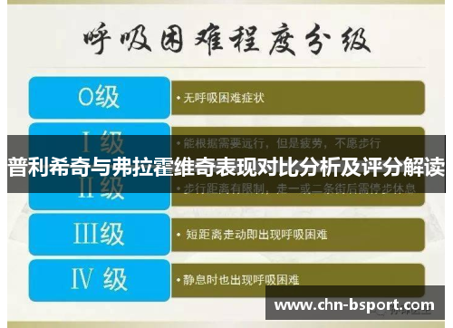 普利希奇与弗拉霍维奇表现对比分析及评分解读