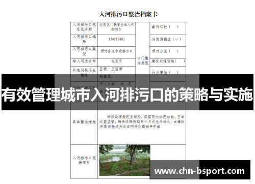 有效管理城市入河排污口的策略与实施