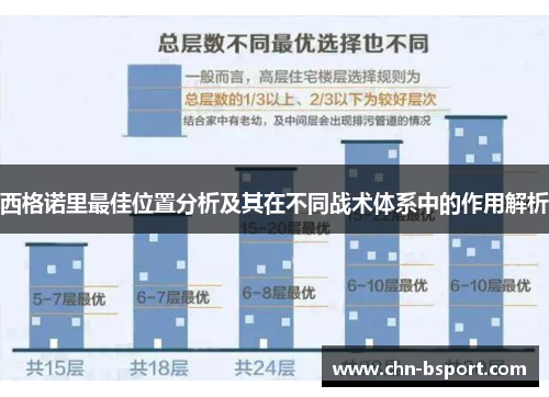 西格诺里最佳位置分析及其在不同战术体系中的作用解析
